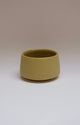 Cup - Golden Olive